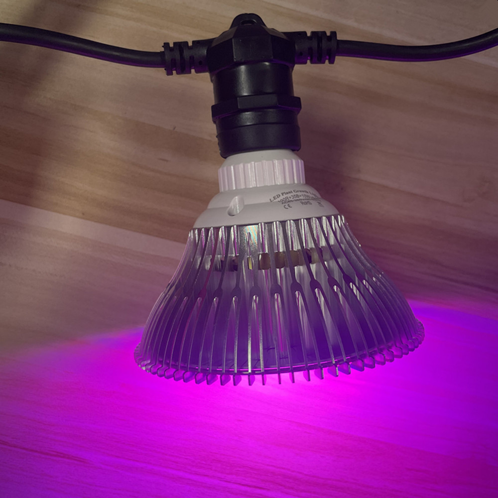 10M Cable LED String Commercia - Outdoor Lighting For Backyard ulasan dan harga