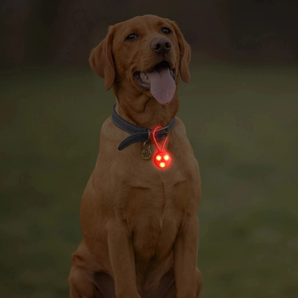 Outdoor Backpack Lights Silico - Outdoor Lighting Led Strip ulasan dan harga